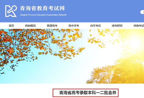 2020年青海省高考志愿填報系統(tǒng)密碼重置及查詢申請表操作指南